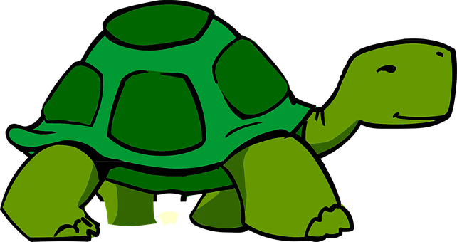 Cartoon Green Turtle Illustration