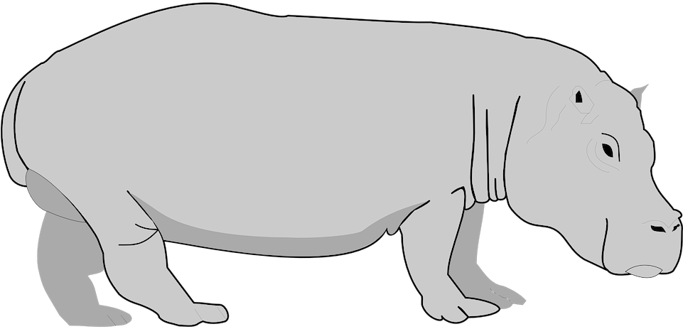 Cartoon_ Hippopotamus_ Graphic