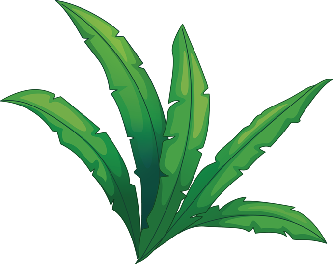 Cartoon Jungle Foliage