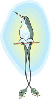 Cartoon Long Legged Bird