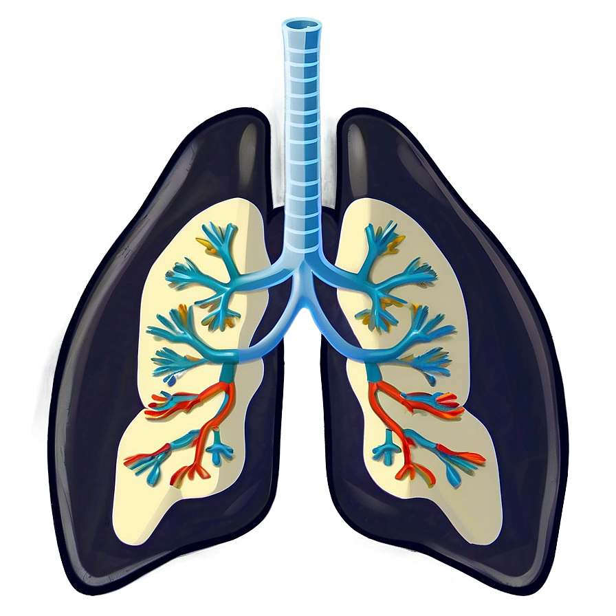 Cartoon Lungs Character Png 6