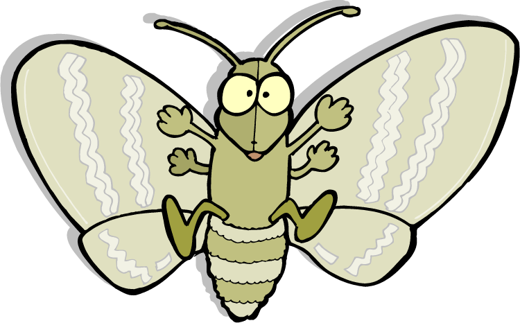 Cartoon Moth Illustration