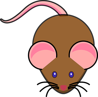 Cartoon Mouse Graphic