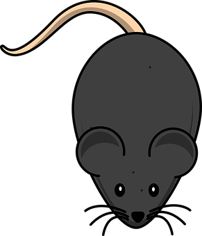 Cartoon Mouse Top View Illustration