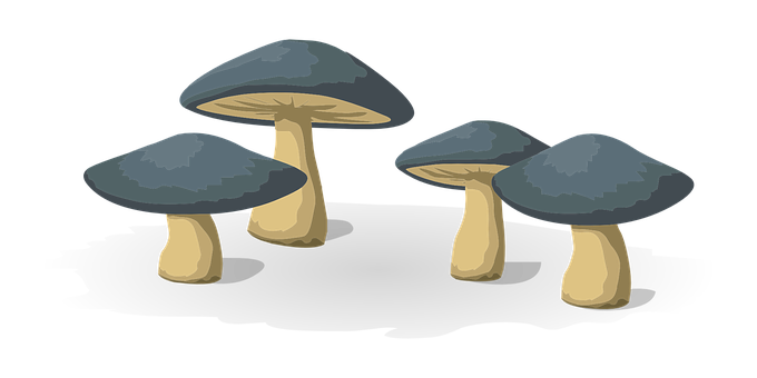 Cartoon Mushroomson Black Background