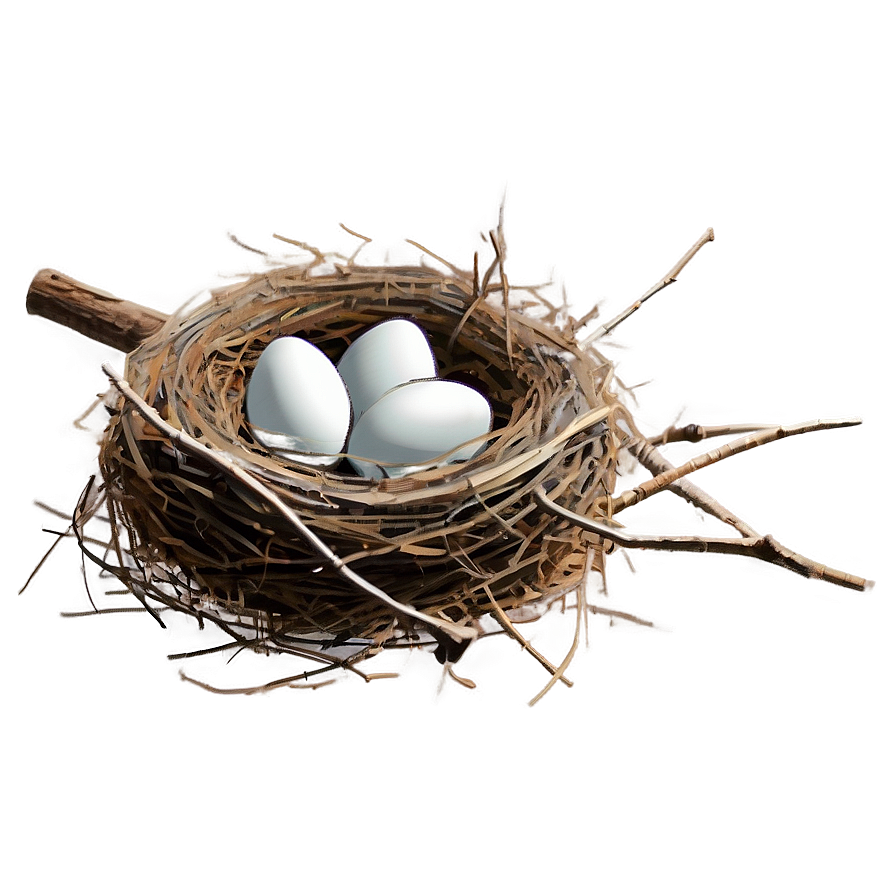 Cartoon Nest Drawing Png Nis