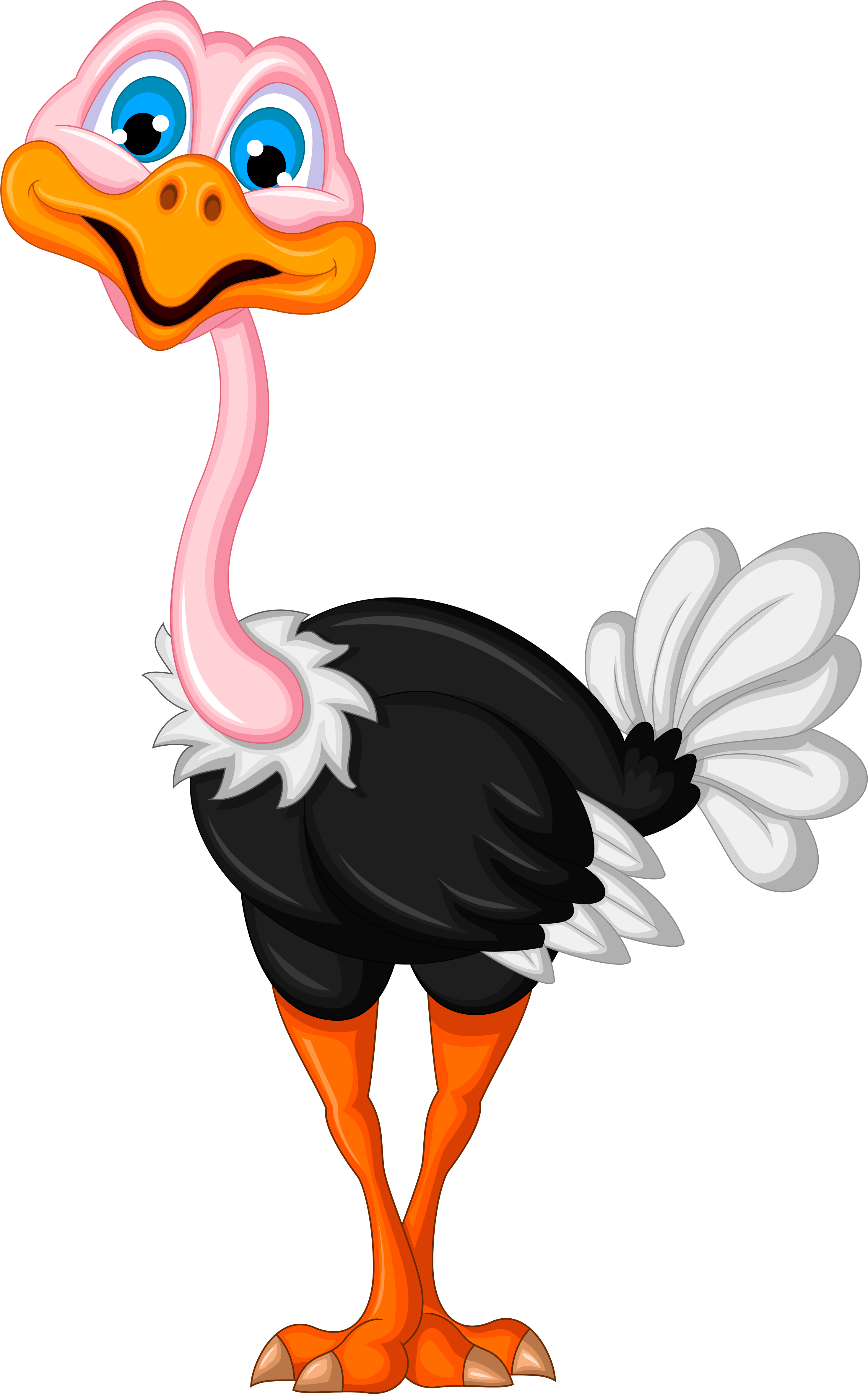 Cartoon_ Ostrich_ Character.png