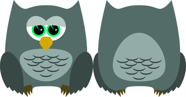 Cartoon Owl Before After Illustration