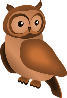 Cartoon Owl Illustration