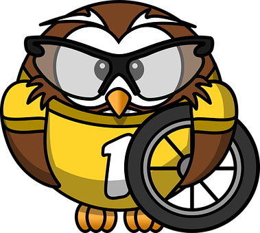 Cartoon Owl Racer Number One
