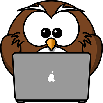 Cartoon Owl Using Laptop
