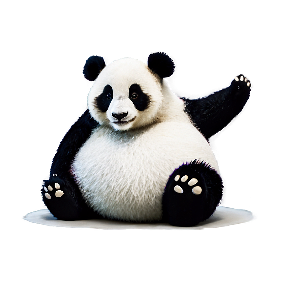 Cartoon Panda Clipart Png 05062024