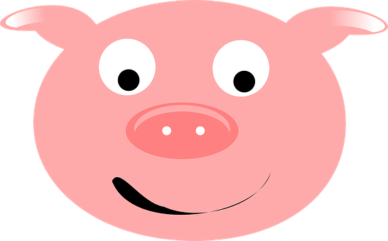 Cartoon Pig Face Graphic