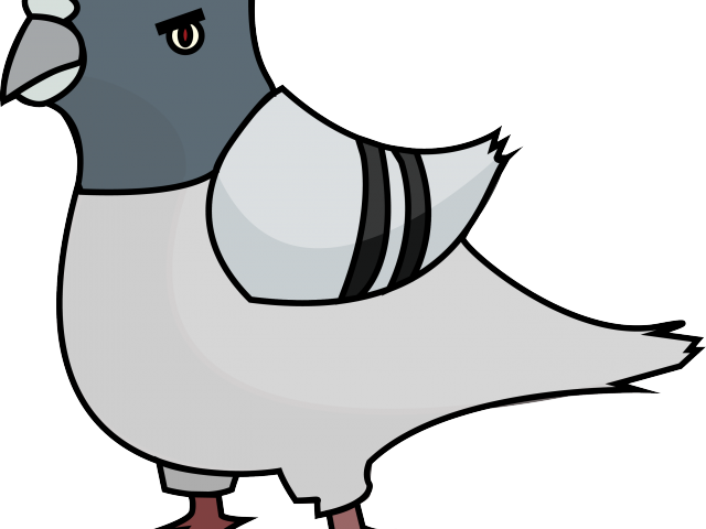 Cartoon Pigeon Illustration