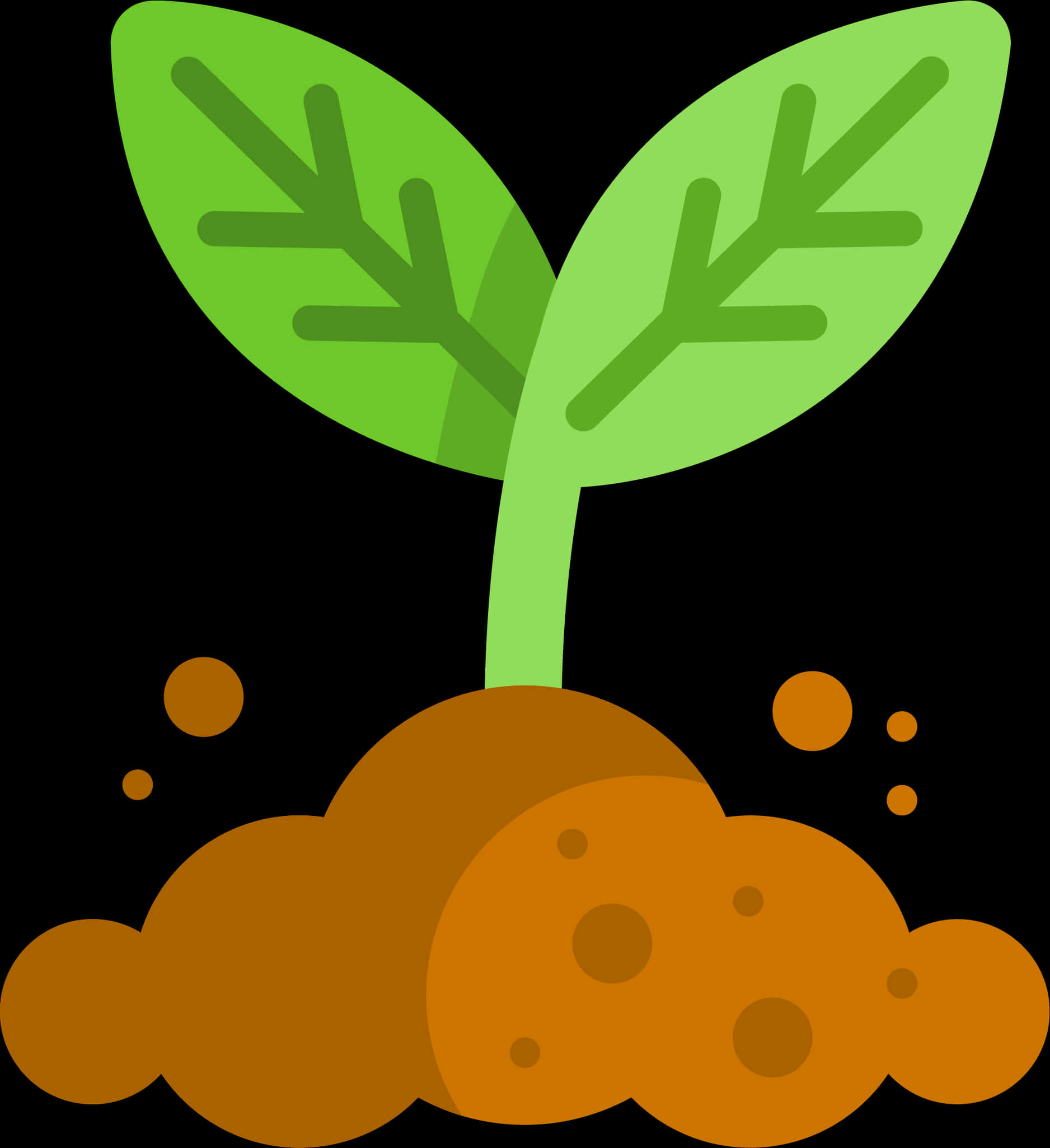 Cartoon Plant Growing From Soil