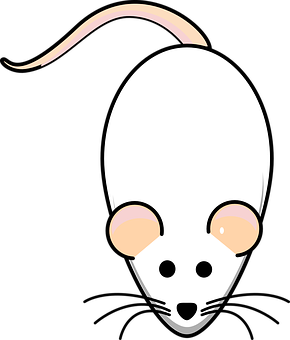 Cartoon Rat Head Vector