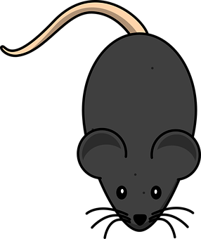 Cartoon Rat Top View Illustration