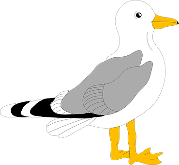 Cartoon Seagull Graphic