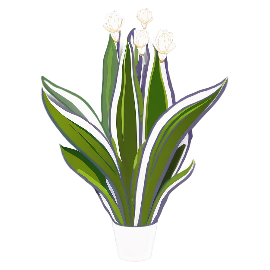 Cartoon Snake Plant Png 38