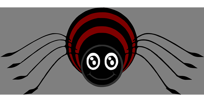 Cartoon Spider Graphic