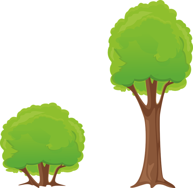 Cartoon Trees Illustration