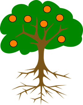 Cartoon Treewith Rootsand Fruit