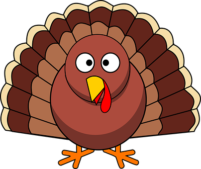 Cartoon Turkey Illustration