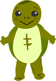 Cartoon Turtle Character