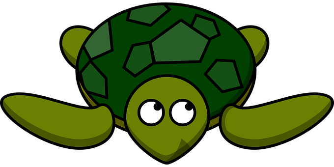 Cartoon Turtle Graphic