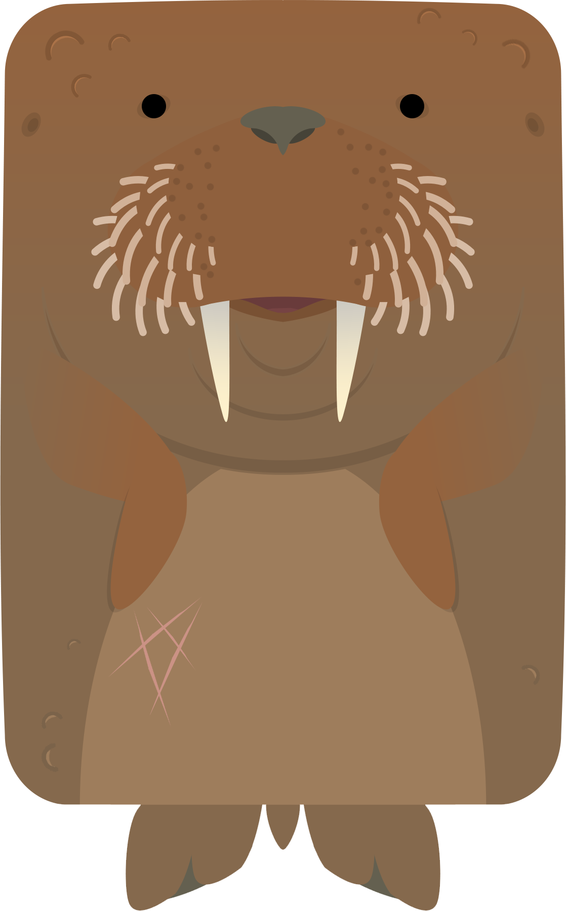 Cartoon Walrus Illustration