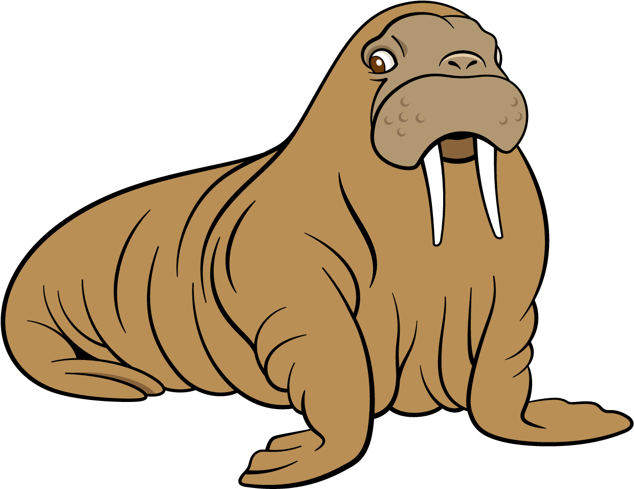 Cartoon Walrus Illustration