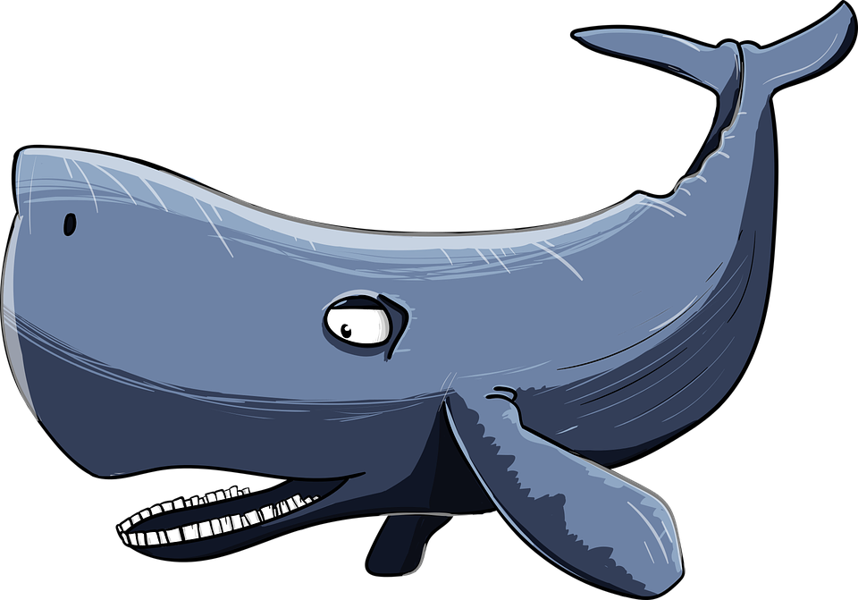 Cartoon Whale Illustration