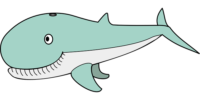 Cartoon Whale Illustration