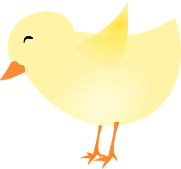 Cartoon Yellow Chick Illustration