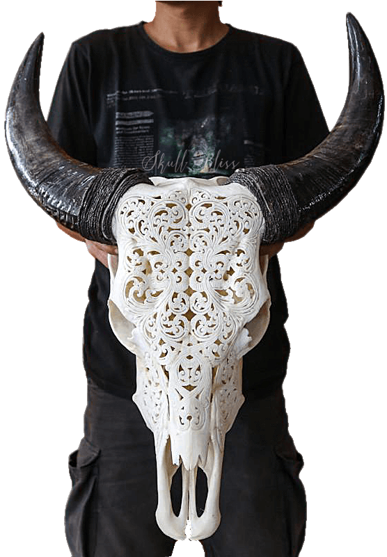 Carved Goat Skullwith Horns