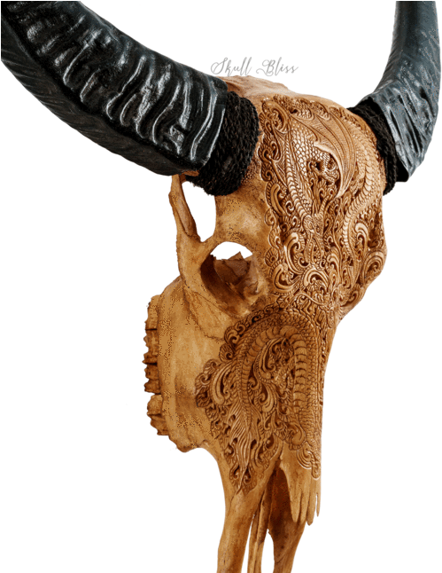 Carved Skullwith Horns Artwork