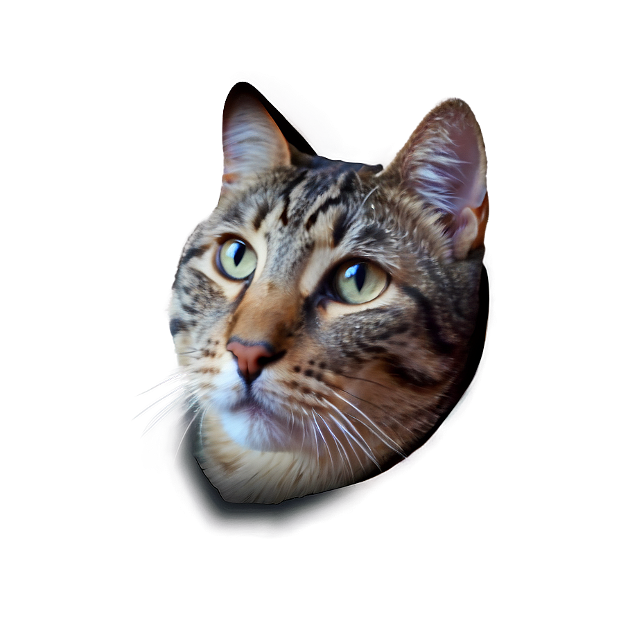 Cat Face In Space Png 95