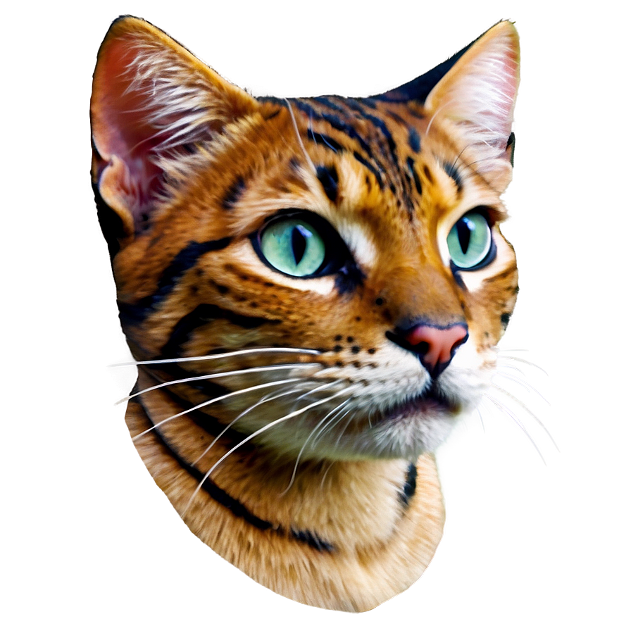 Cat Face Tattoo Design Png 35