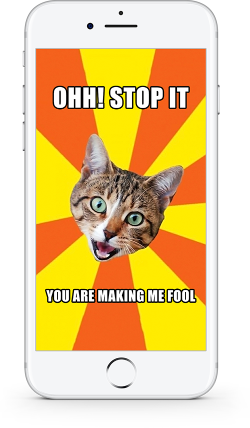 Cat Meme Ohh Stop It You Are Making Me Fool