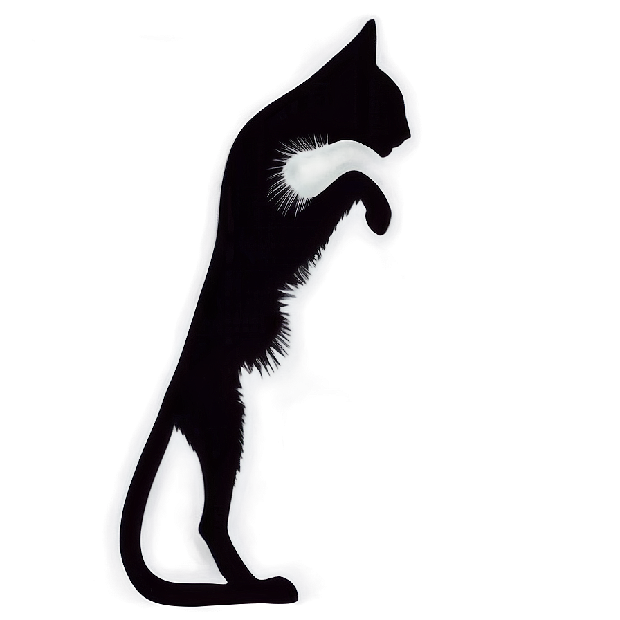 Cat Outline Silhouette Png 06122024