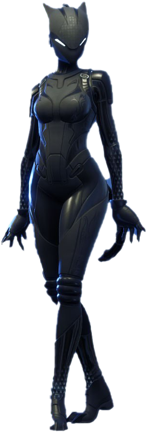 Catwoman Full Body Costume Render