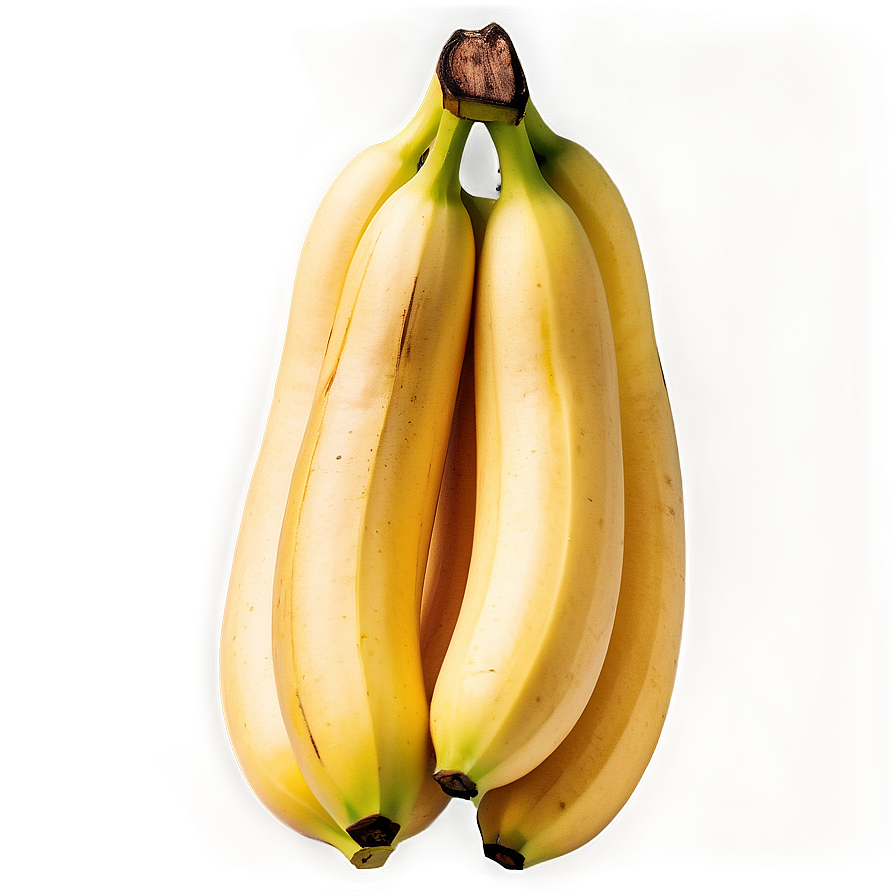 Cavendish Banana Type Png Gwm