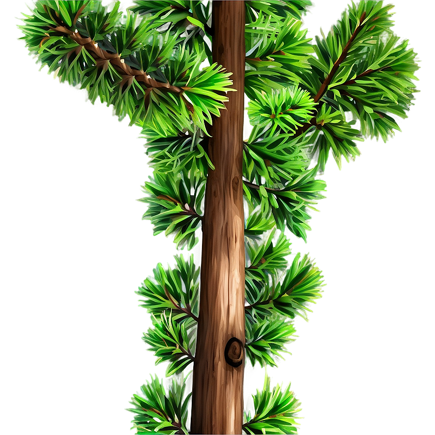 Cedar Tree Branch Png 73