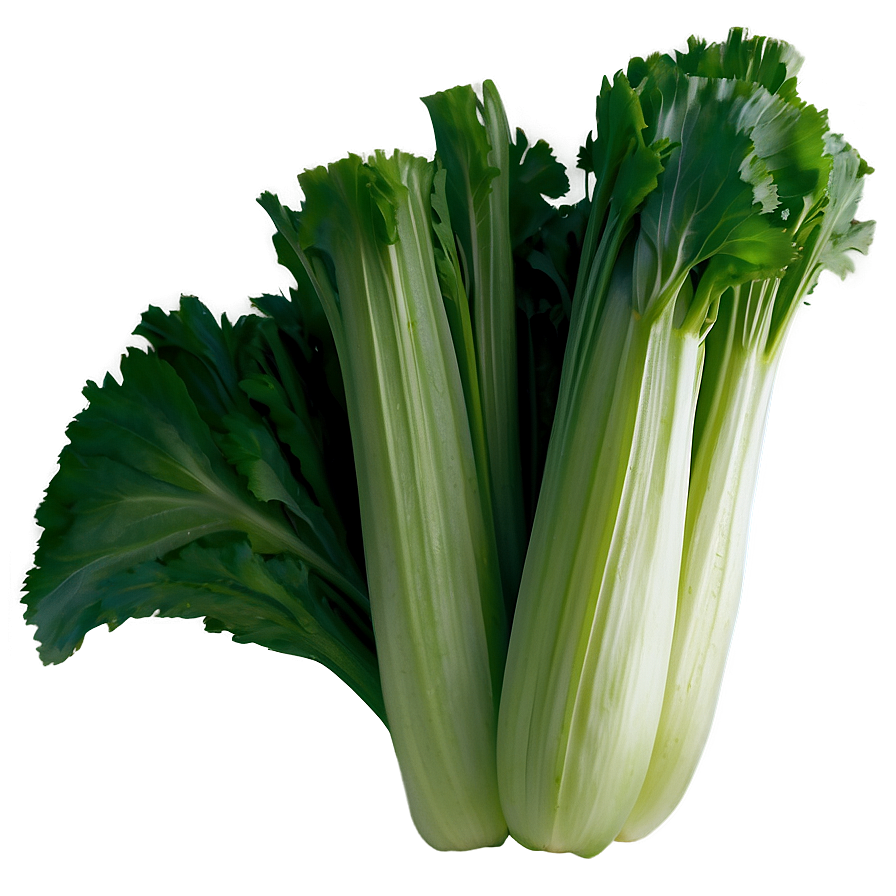 Celery D