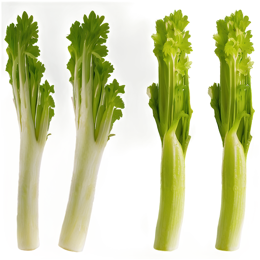 Celery Farm Fresh Png Ssc80