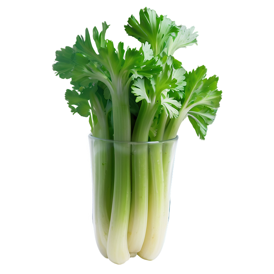 Celery For Detox Png 73