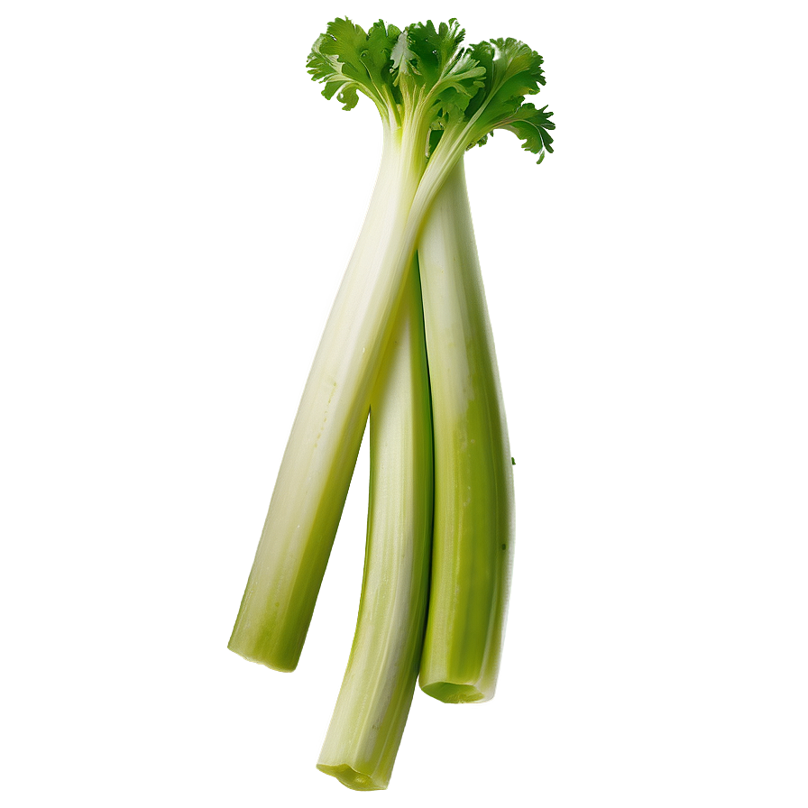 Celery For Salad Png Ugq