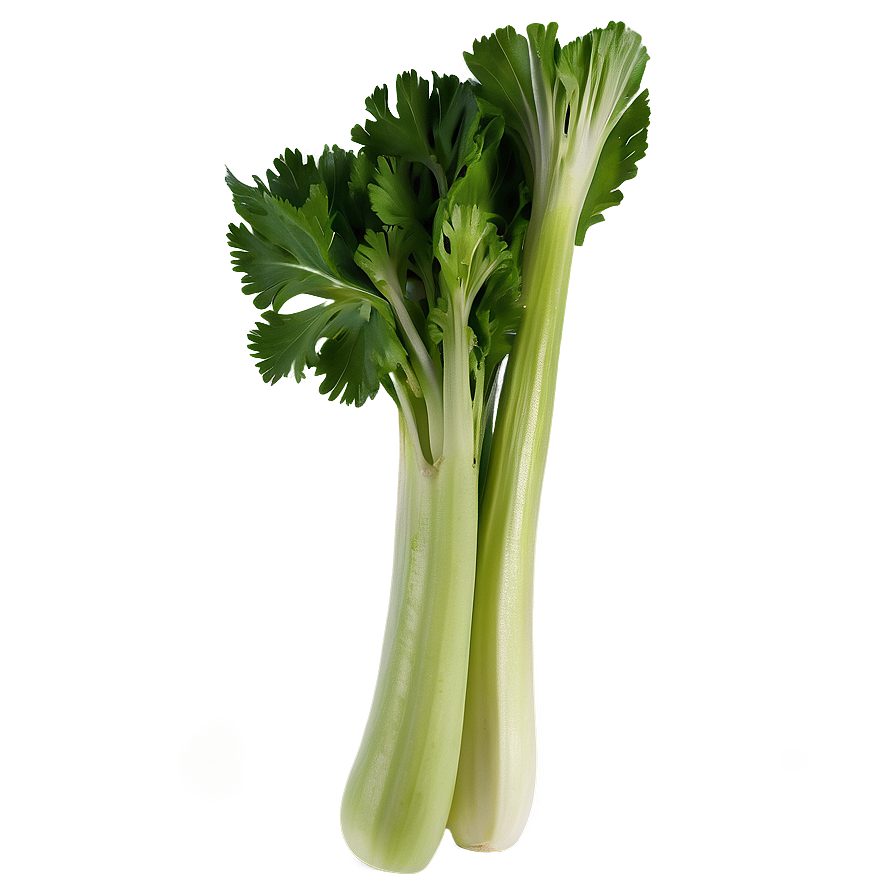 Celery On White Background Png 43