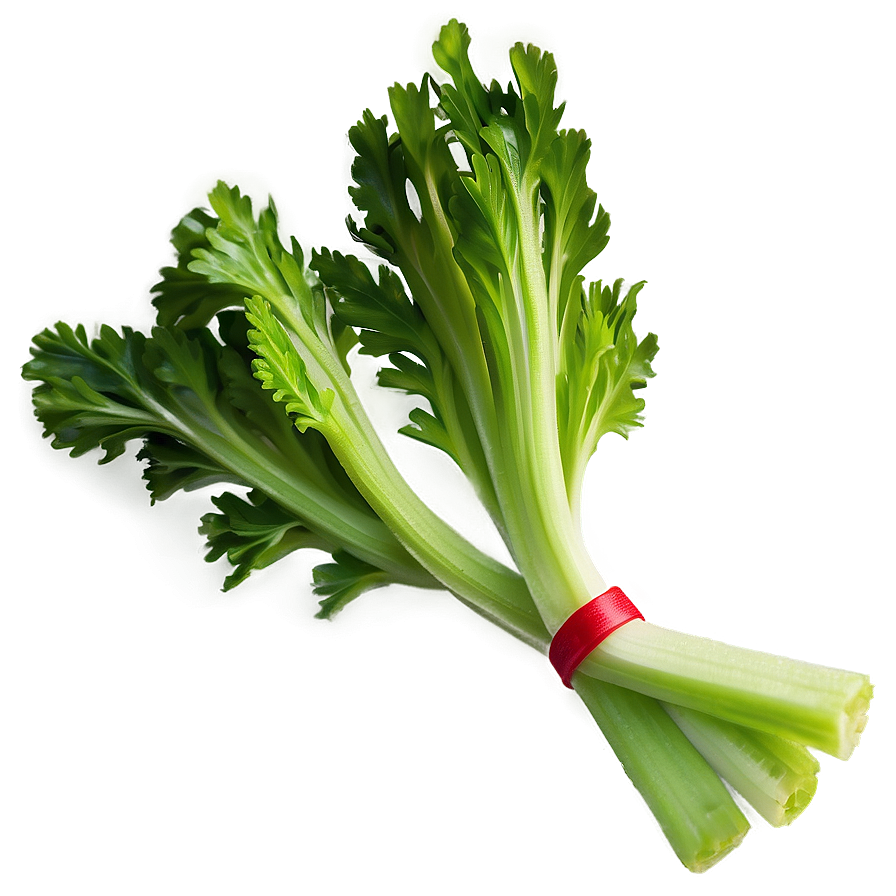 Celery On White Background Png Ckk