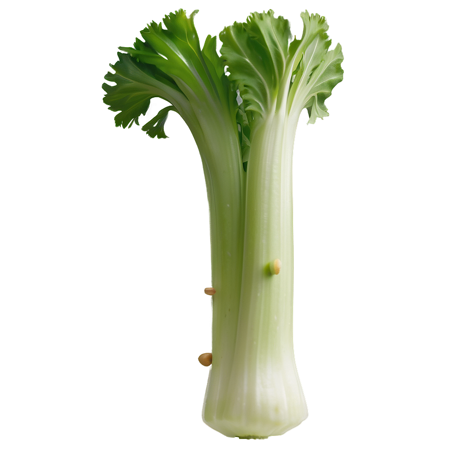 Celery Piece Png 06252024